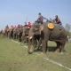 Hội đua voi Buôn Đôn - Đắk Lắk hứa hẹn sôi nổi và hấp dẫn