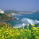 Ngoạn đảo tình yêu Jeju, hưởng chính sách miễn visa