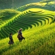 Hà Giang sẽ tổ chức ‘Không gian văn hóa dân tộc Mông Hà Giang tại Hà Nội’