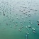 Khai trương cáp treo dài nhất thế giới ở Phú Quốc