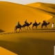 Trên lưng lạc đà giữa sa mạc Sahara