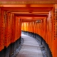 Những đền thờ Shinto đẹp nhất Kyoto