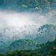 Brazil mở cửa tuyến đường mòn trong rừng