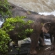 Thêm hàng loạt voi chết ở Thái Lan