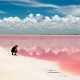 Hồ nước màu hồng như cổ tích ở Mexico