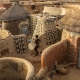 Ngôi làng của quý tộc ở châu Phi