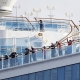 454 ca nhiễm virus trên du thuyền Nhật