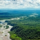 Rừng nhiệt đới sẽ không còn hấp thụ CO2?