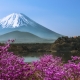 Nhật Bản tạm đóng cửa núi Phú Sĩ