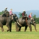 Đắk Lắk tạm dừng du lịch cưỡi voi