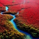 Biển Đỏ, Trung Quốc rực rỡ vào mùa thu