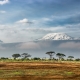 Cháy lớn trên đỉnh Kilimanjaro