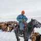 Người Mông Cổ và cuộc sống nơi băng giá
