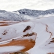 Tuyết phủ trắng vùng sa mạc Sahara