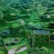 Ngôi làng hoang ngập chìm trong rêu xanh