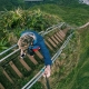 'Nấc thang lên thiên đường' ở Hawaii sẽ bị dỡ bỏ