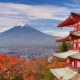 Nhật Bản ra mắt chương trình thử nghiệm mở cửa du lịch