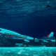 Từ xác máy bay trở thành du lịch mạo hiểm dưới nước