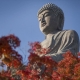Tượng Phật kì vĩ giữa thiên nhiên bốn mùa xứ Phù Tang