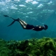 Theo chân hướng dẫn viên bản địa trải nghiệm lặn ngắm san hô ở đảo Phú Quý
