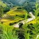 Lượng tìm kiếm về du lịch Việt Nam tăng trưởng tốp đầu thế giới