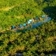 Hà Nội: Du lịch “xanh” nhiều tiềm năng để phát triển