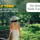 Theo chân Helly Tống trên chuyến hành trình “xanh” khám phá du lịch bền vững tại Six Senses Ninh Van Bay