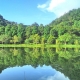 Cúc Phương 5 lần liên tiếp được bình chọn là 'Vườn quốc gia hàng đầu châu Á'