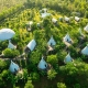 Panorama Glamping Đồng Nai nhận giải thưởng quốc tế World Luxury Travel Awards 2024