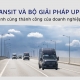 Ford Transit và bộ giải pháp Upfleet đồng hành cùng thành công của doanh nghiệp vận tải