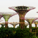 Những trải nghiệm không thể bỏ lỡ tại Singapore mùa hè này