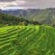 Tất tần tật về du lịch Pù Luông 2025: Ăn gì, chơi gì, ở đâu?
