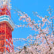 Tokyo vững vàng vị trí dẫn đầu bảng xếp hạng 10 thành phố đáng sống nhất thế giới