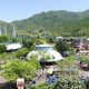 Tổng cục Du lịch Hàn Quốc tại Việt Nam tổ chức Hội thảo Du lịch Hàn Quốc Korea Travel Mart 2025