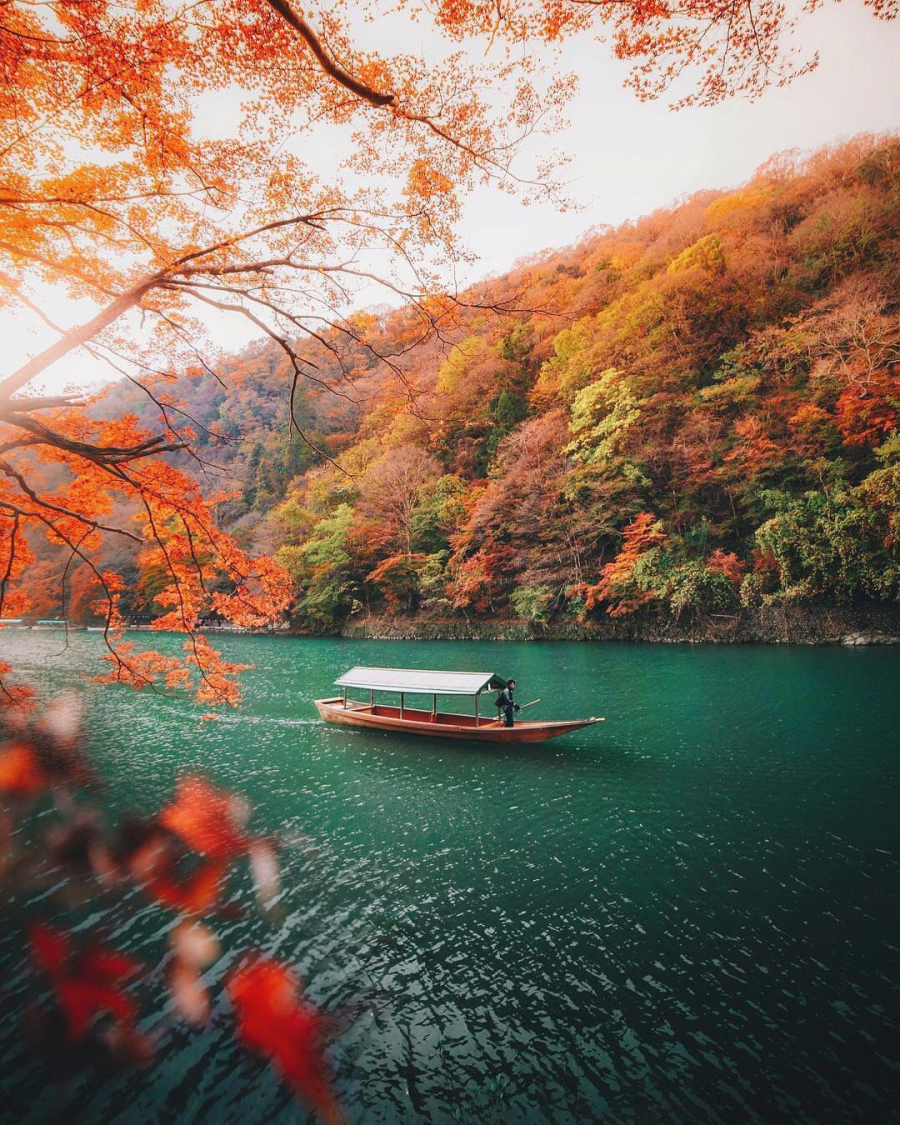 Mùa lá đỏ ở Kyoto