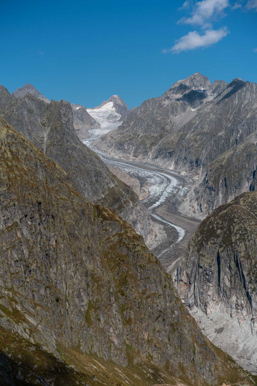 The-Aletsch-Glacier-7