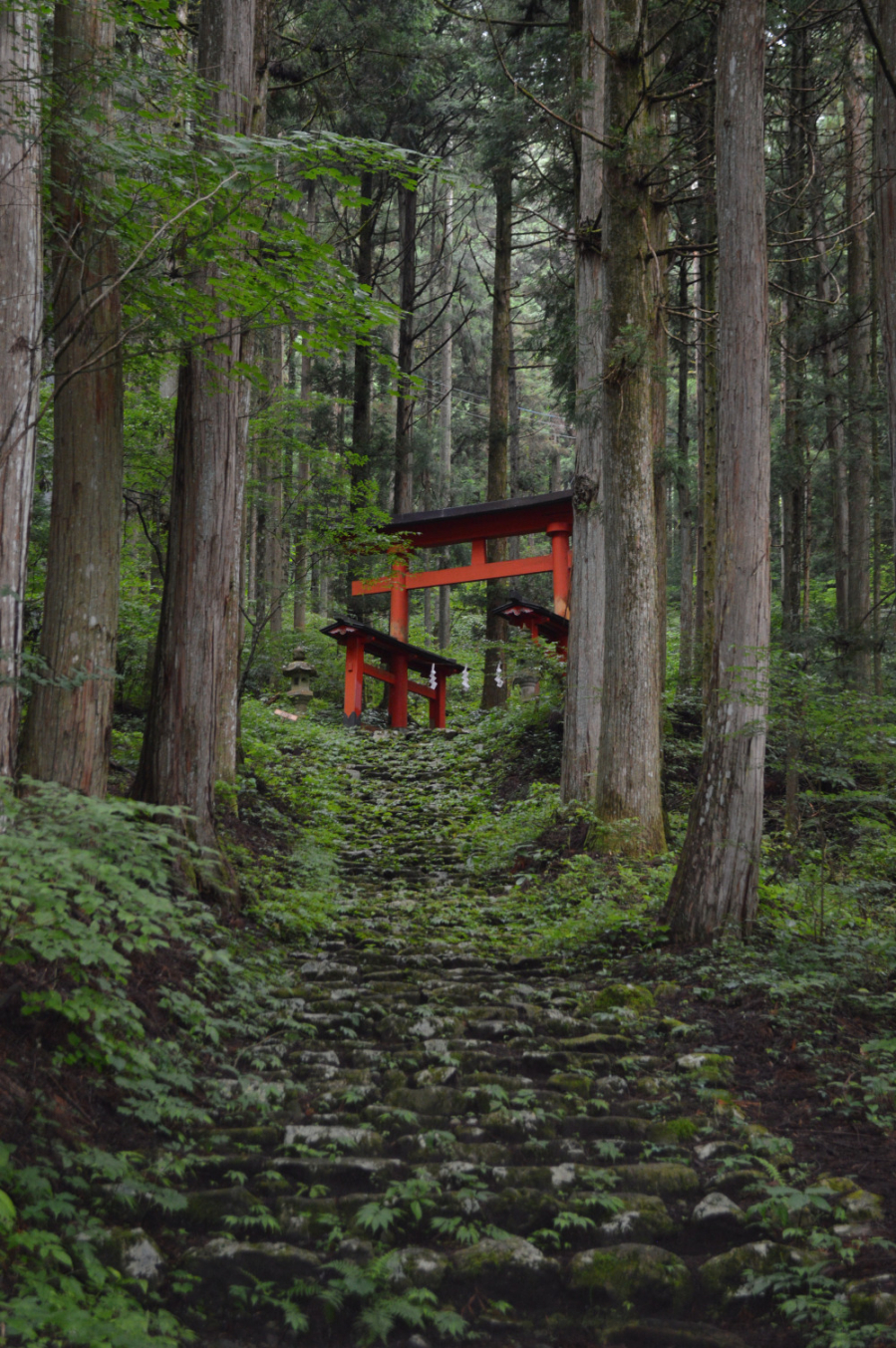 Lối đi lên đền Himuro, Fujikawa
