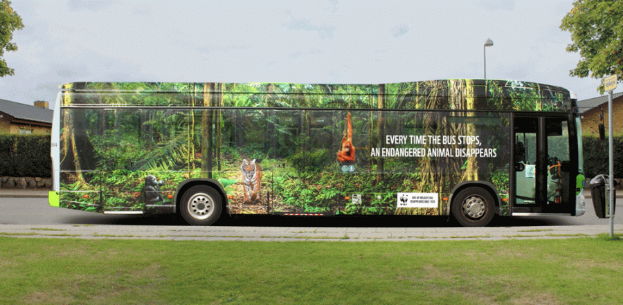 Chiến dịch quảng cáo xe buýt cảnh báo tốc độ biến mất của các loại động vật hoang dã.