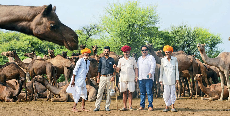 Hanwant Singh Rathore (người thứ hai từ phải sang), một người buôn bán lạc đà truyền thống chụp ảnh cùng đội ngũ của mình tại trại bảo tồn lạc đà Camel Charisma. (Ảnh: Marwar India)