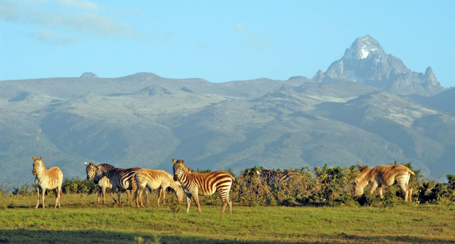 Công viên quốc gia Núi Kenya