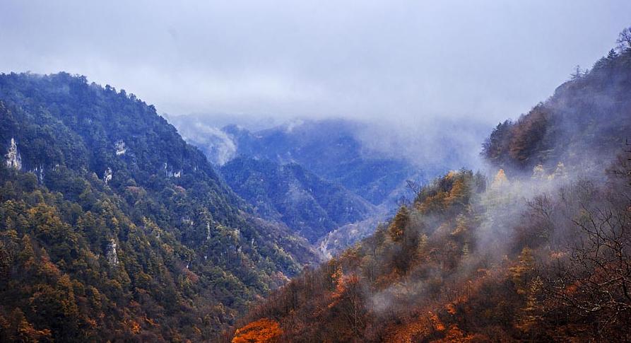 Khu bảo tồn thiên nhiên Thần Nông Giá hiện lên tuyệt đẹp với hình ảnh mây trôi lững lờ. Màu xanh tươi của lá dần được thay thế bằng màu xanh thăm thẳm của bầu trời, xen kẽ chút lá đỏ còn sót lại của mùa thu.