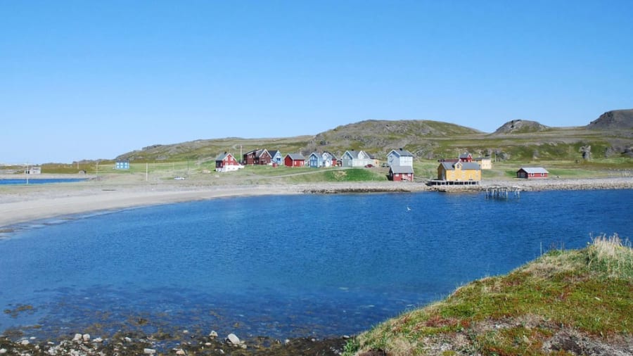 Mùa hè đến, Kongsfjord đã tan băng, Valentina quyết định chuyển đến vùng đất mới (ảnh: CNN).
