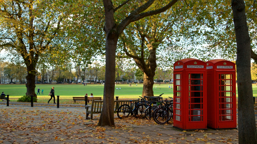 Công viên Richmond, London nổi tiếng phong cảnh đẹp và du khách ra vào hoàn toàn miễn phí. (Ảnh: Internet)