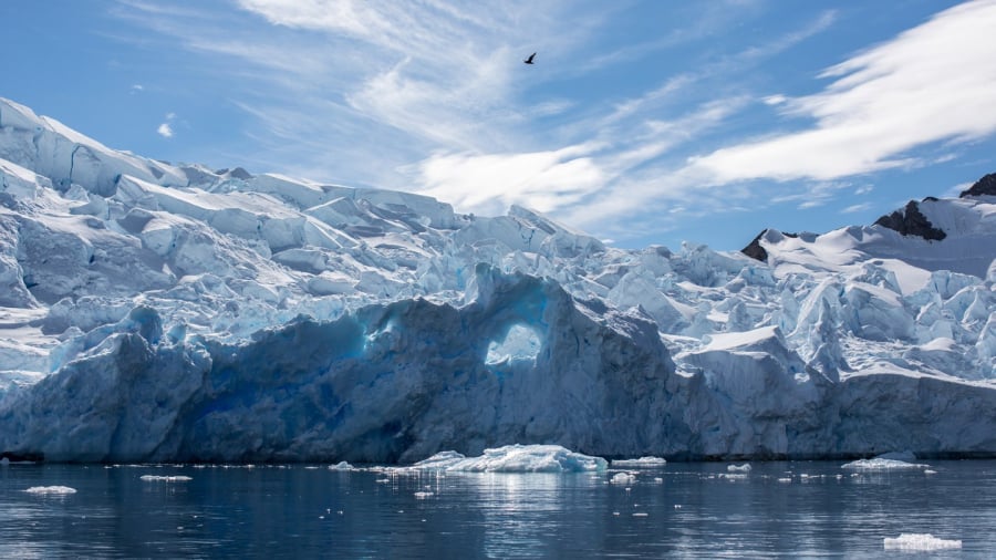 Nam Cực - đia danh du lịch không phải ai cũng đủ can đảm để ghi dấu
