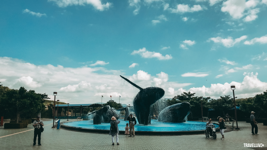 Đài phun nước cá voi