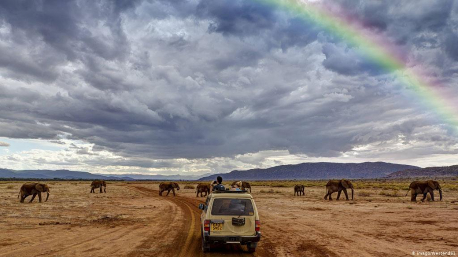 Safari ở Kenya