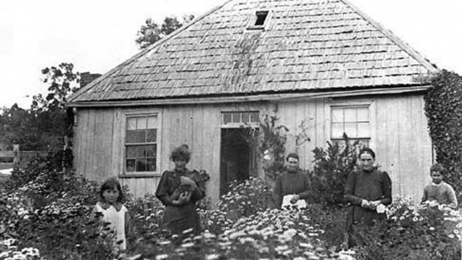 Tuy được xây cất trên mảnh đất cằn, nhưng Shelwood Cottage được coi sóc cẩn thận với nhiều hoa cỏ xung quanh
