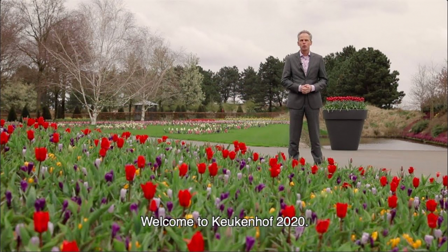 Ban quản lý Hội hoa đã nghĩ ra cách làm những clip trực tuyến để giới thiệu mùa hoa đến du khách: “Nếu du khách không thể đến tận nơi, chúng tôi sẽ mang Hội hoa Keukenhof 2020 đến tận nhà bạn”