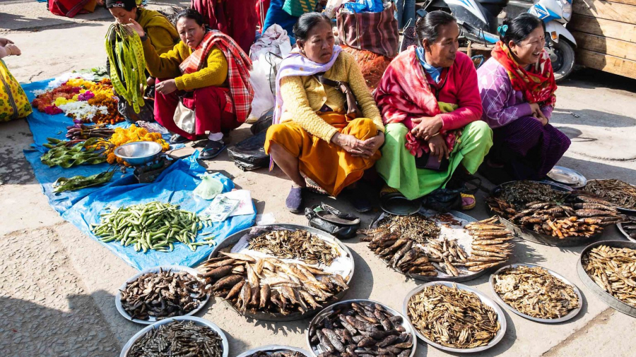 Ima-Keithel-India-market-Outside-Ima_Keithel_informal_dried_fish_sellers-EM-Photo-credit-Eileen-McDougall-1-1536x864