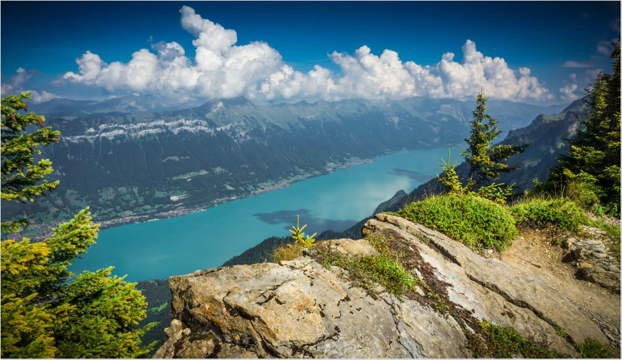 Hồ Brienz có chiều dài khoảng 14 km, chiều rộng 2,8 km và độ sâu tối đa lên đến 260 m